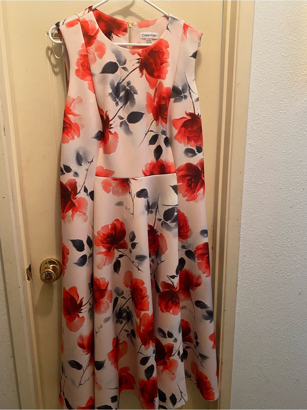 Calvin Klein Red Floral A-Line Dress on Ivory